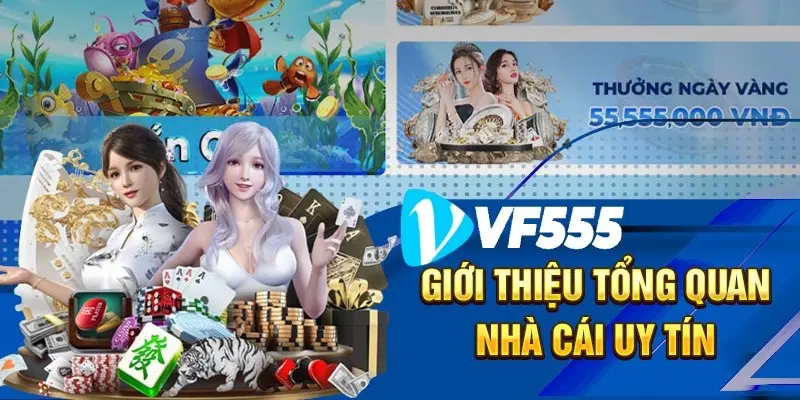 giới thiệu về vf555